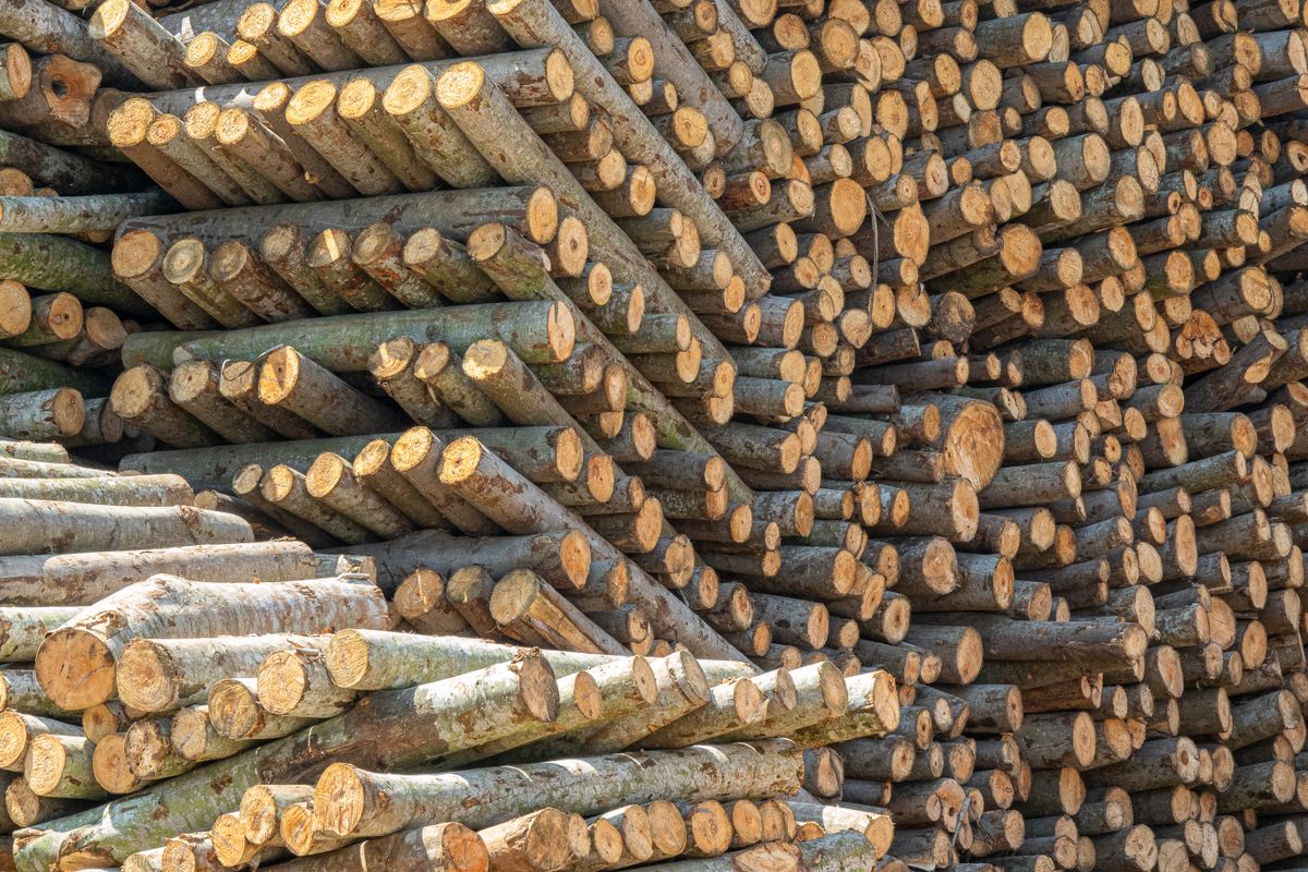 End-on view of neatly stacked timber logs at a supply yard