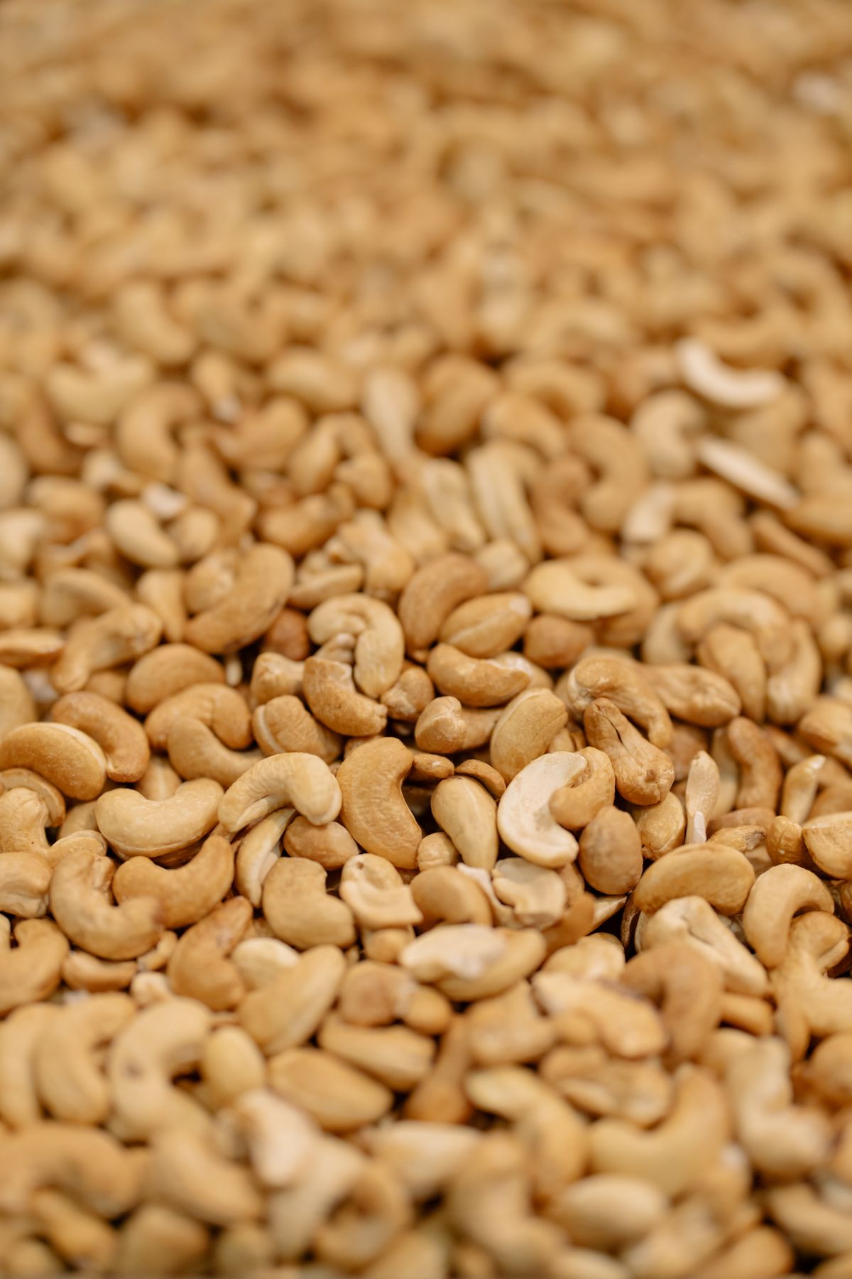 Processed cashew kernels — commercial grade ready for export